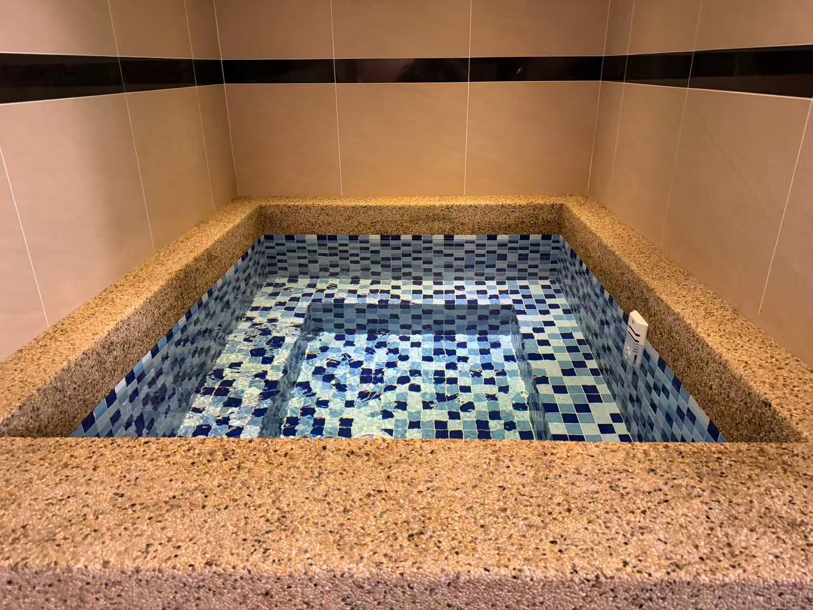 Viva spa cold plunge Viva spa cold plunge